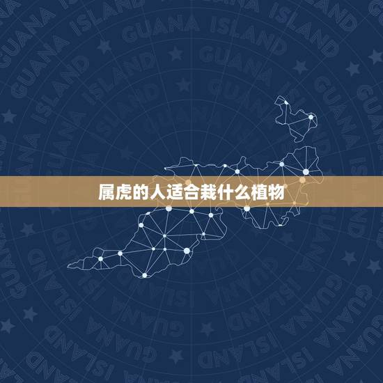 属虎的人适合栽什么植物，属虎的人不能养什么花