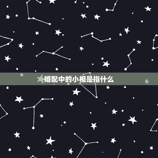 婚配中的小相是指什么,属相婚配 八字合婚 请高人 婚配中的小相是指什么,属相婚配 八字合婚 请高人