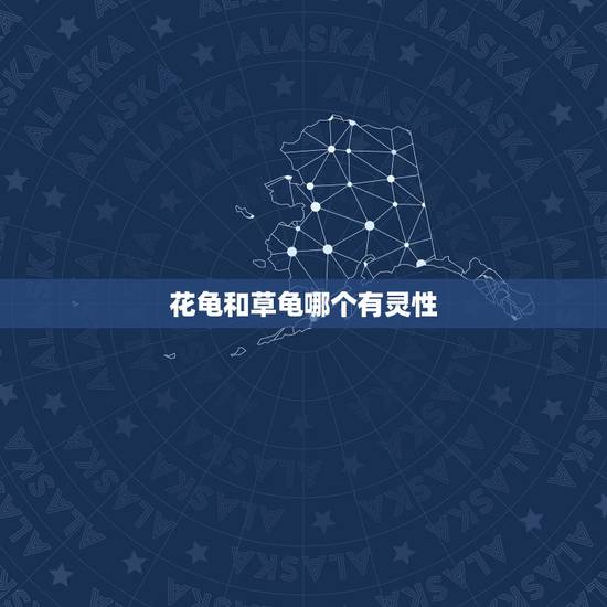 花龟和草龟哪个有灵性，草龟好还是花龟好？