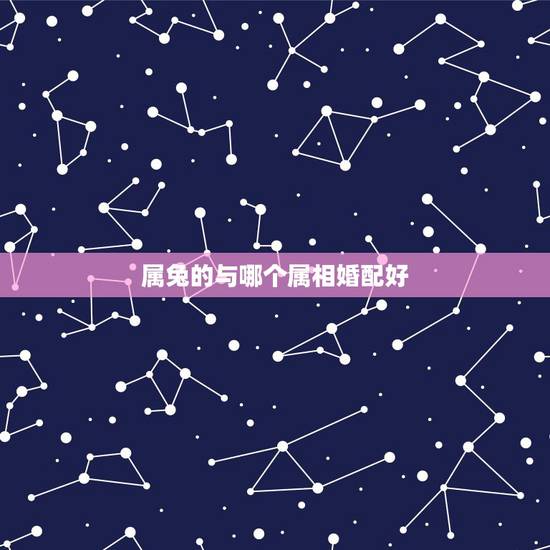 属兔的与哪个属相婚配好,属相婚配表之属兔的和什么属相相配 属兔的与哪个属相婚配好,属相婚配表之属兔的和什么属相相配
