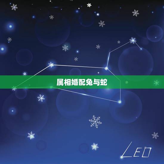 属相婚配兔与蛇,属相婚配蛇与兔子合吗? 属相婚配兔与蛇,属相婚配蛇与兔子合吗?