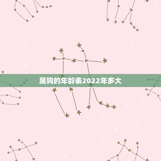 属狗的年龄表2022年多大，年龄计算器在线计算