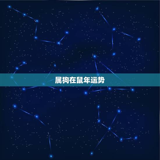 属狗在鼠年运势,狗年鼠年的运气如何 属狗在鼠年运势,狗年鼠年的运气如何