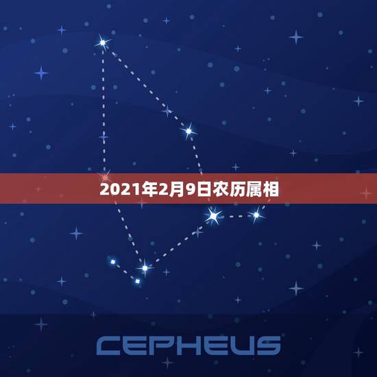 2021年2月9日农历属相,2021年1月23日属什么生肖? 2021年2月9日农历属相,2021年1月23日属什么生肖?