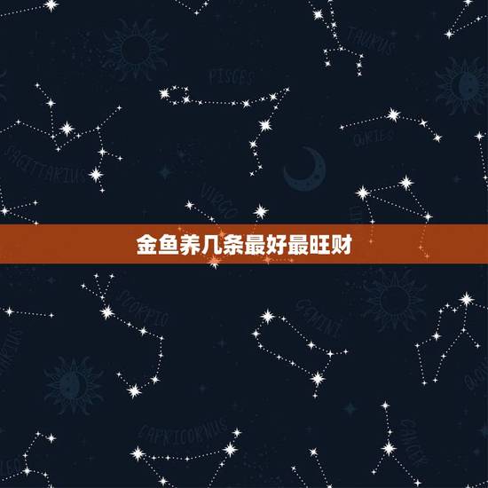 金鱼养几条最好最旺财,金鱼一般养几条最旺财运 金鱼养几条最好最旺财,金鱼一般养几条最旺财运