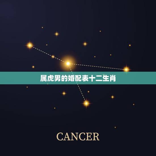 属虎男的婚配表十二生肖，十二属相男女婚配表