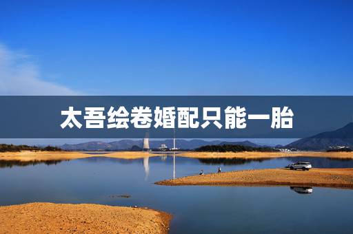 太吾绘卷婚配只能一胎，跪求类似于高考恋爱一百天或遇见逆水寒，太吾绘卷那