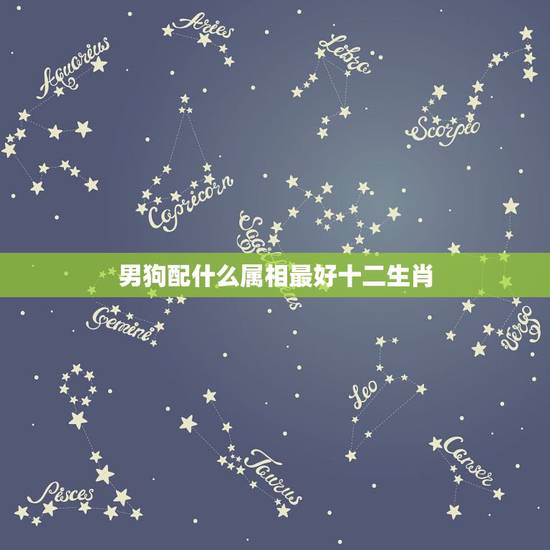 男狗配什么属相最好十二生肖，男属狗的和什么属相最配