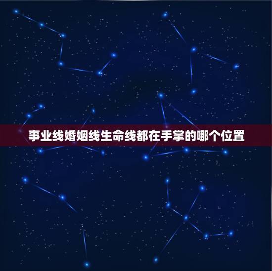 事业线婚姻线生命线都在手掌的哪个位置，手上的事业线、生命线、爱情线分别