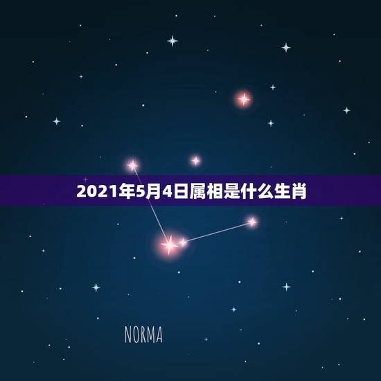 2021年5月4日属相是什么生肖，2021年是什么生肖年