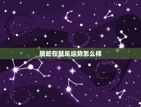 属蛇在鼠年运势怎么样，2022 年属蛇的贵人