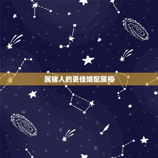 属猪人的更佳婚配属相,1995年属猪2022 年运势 属猪人的更佳婚配属相,1995年属猪2022 年运势
