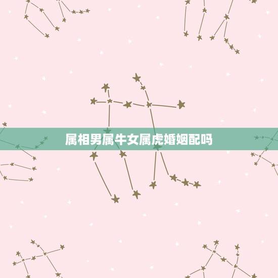 属相男属牛女属虎婚姻配吗,男方属牛,女方属虎般配吗?能结婚吗? 属相男属牛女属虎婚姻配吗,男方属牛,女方属虎般配吗?能结婚吗?