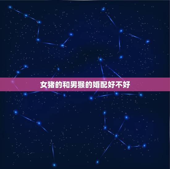 女猪的和男猴的婚配好不好,男属猴跟女属猪的相配吗? 女猪的和男猴的婚配好不好,男属猴跟女属猪的相配吗?