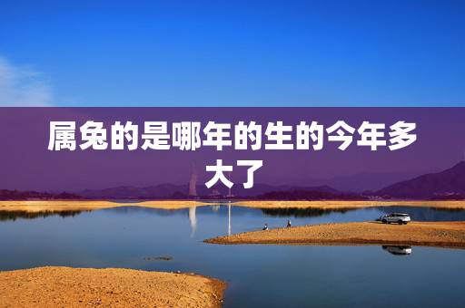 属兔的是哪年的生的今年多大了,属兔的今年多大 属兔的是哪年的生的今年多大了,属兔的今年多大