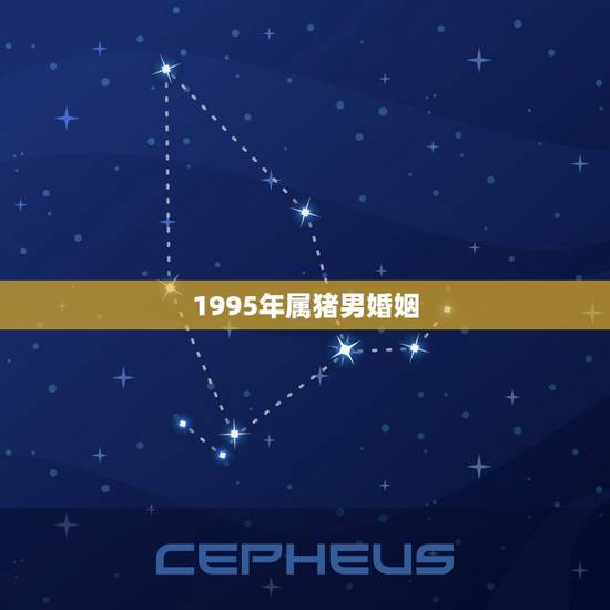 1995年属猪男婚姻，95年属猪的和什么属相最配