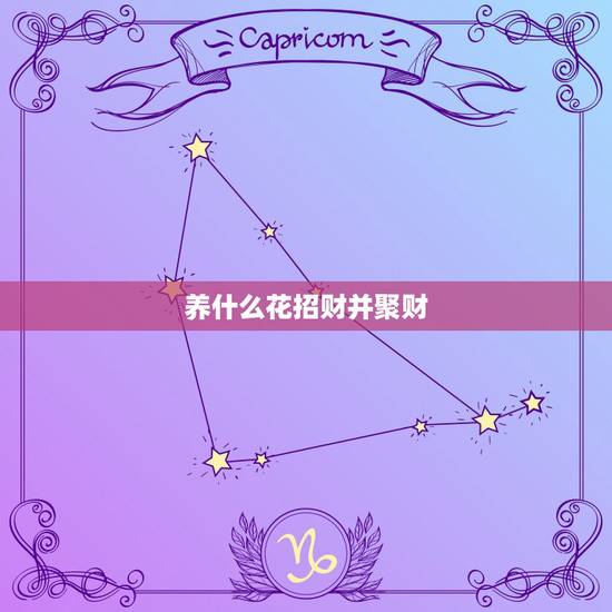 养什么花招财并聚财，聚财风水植物都有哪些