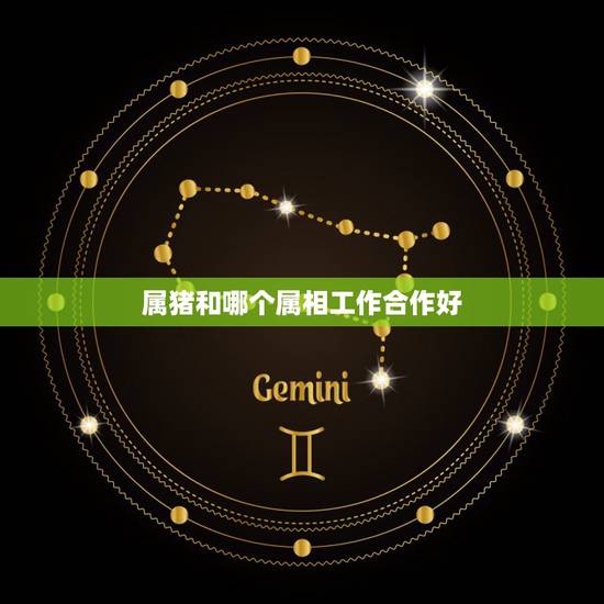 属猪和哪个属相工作合作好，属猪的和什么属相做生意比较合