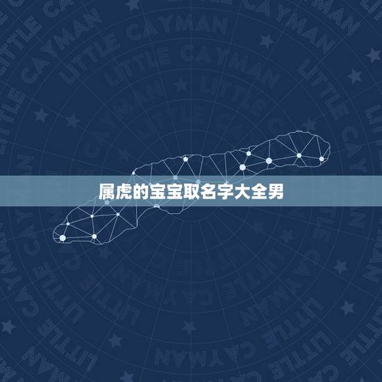 属虎的宝宝取名字大全男 好好聚好散不再回头