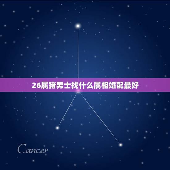 26属猪男士找什么属相婚配最好，属猪的属相婚配表，属猪的和什么属相最配