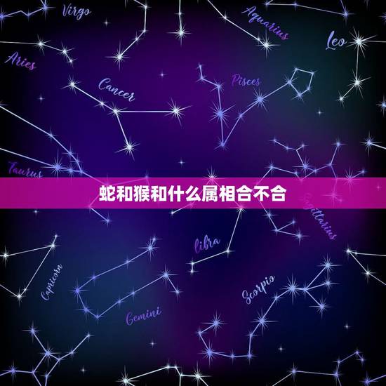蛇和猴和什么属相合不合，属蛇的和什么属相合财