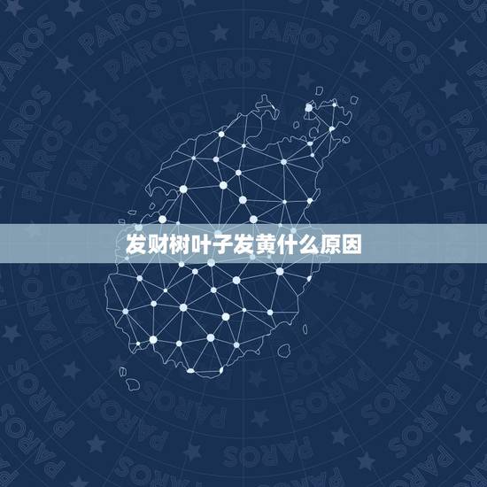 发财树叶子发黄什么原因,发财树叶子发黄怎么回事 发财树叶子发黄什么原因,发财树叶子发黄怎么回事