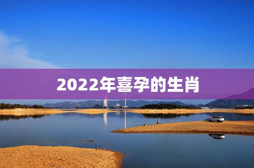 2022年喜孕的生肖，2022年必有添丁之喜的生肖