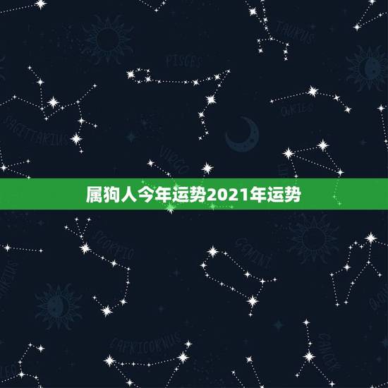 属狗人今年运势2021年运势，2021年属狗人的全年运势及运程？