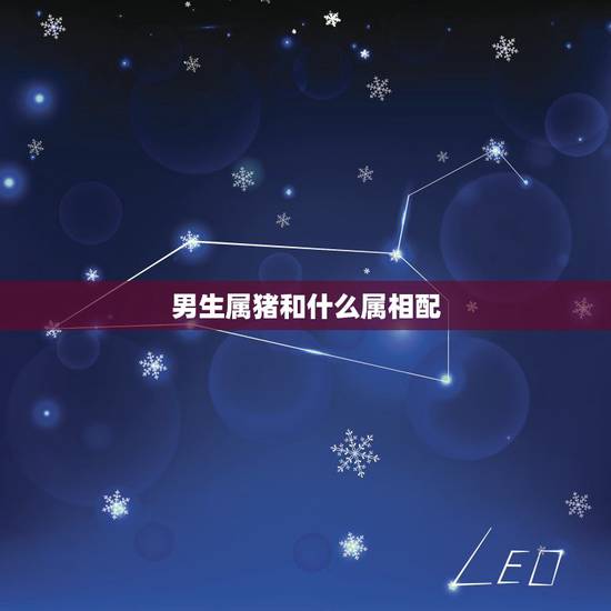 男生属猪和什么属相配，属猪女生喜欢什么类型男生