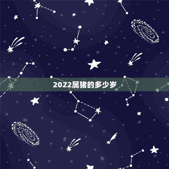 2022属猪的多少岁，2022年生肖猪运势完整版