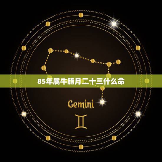 85年属牛腊月二十三什么命,1985年12月23什么命 85年属牛腊月二十三什么命,1985年12月23什么命