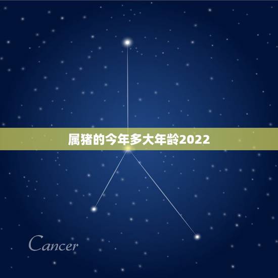 属猪的今年多大年龄2022，2029年属猪的人多大了