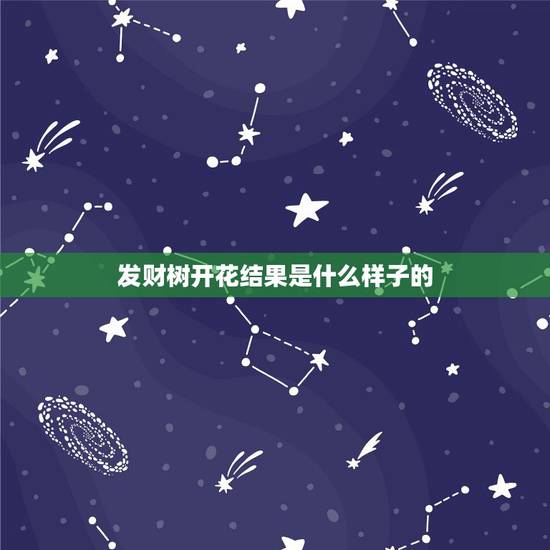 发财树开花结果是什么样子的,发财树开花后结了大果子,到底是怎么养的 发财树开花结果是什么样子的,发财树开花后结了大果子,到底是怎么养的