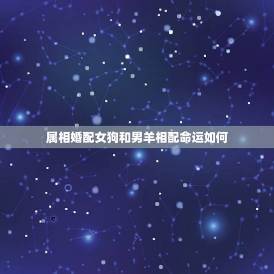 属相婚配女狗和男羊相配命运如何,女属狗和男属羊真的相克不能在一起吗? 属相婚配女狗和男羊相配命运如何,女属狗和男属羊真的相克不能在一起吗?