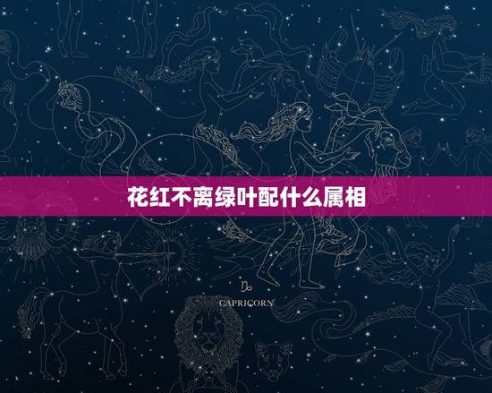 花红不离绿叶配什么属相，红花也需绿叶配猜数字