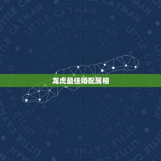 龙虎最佳婚配属相,生肖也是相生相克的,龙虎相配的姻缘好吗? 龙虎最佳婚配属相,生肖也是相生相克的,龙虎相配的姻缘好吗?
