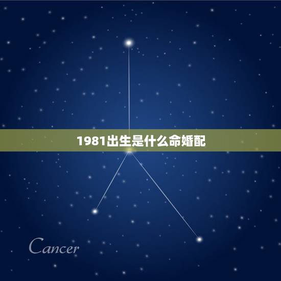 1981出生是什么命婚配,1981年出生的属鸡女,石榴木命,最佳配偶是 1981出生是什么命婚配,1981年出生的属鸡女,石榴木命,最佳配偶是