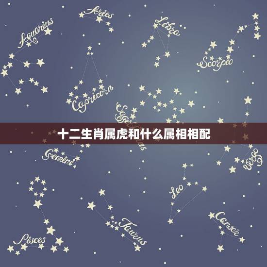 十二生肖属虎和什么属相相配，属虎的和什么属相最配