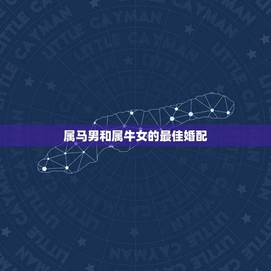 属马男和属牛女的最佳婚配，属马和属牛的可以在一起么？