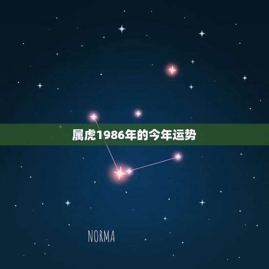属虎1986年的今年运势,2023年属虎人的全年运势 属虎1986年的今年运势,2023年属虎人的全年运势