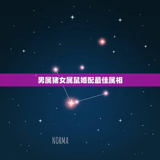 男属猪女属鼠婚配最佳属相,男属猪女属鼠婚配如何 男属猪女属鼠婚配最佳属相,男属猪女属鼠婚配如何