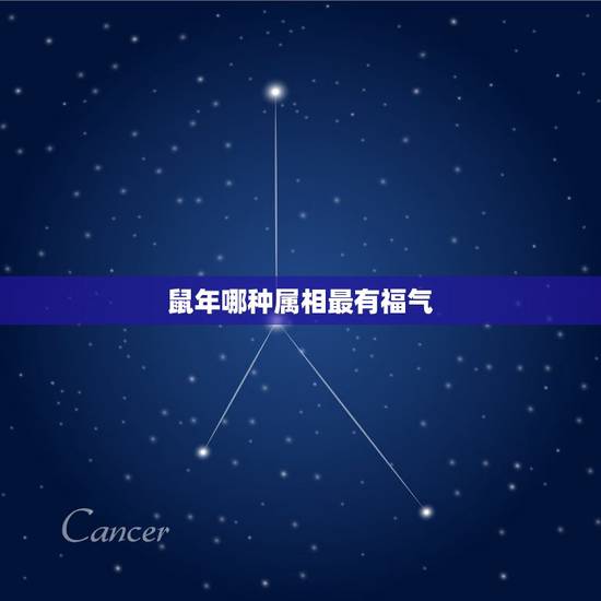 鼠年哪种属相最有福气，（鼠）有哪些生肖号码