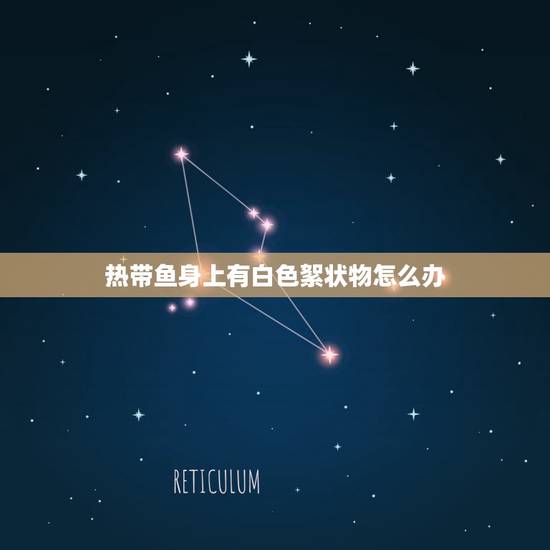 热带鱼身上有白色絮状物怎么办，金鱼身上有白色絮状物放生盐能治疗好吗