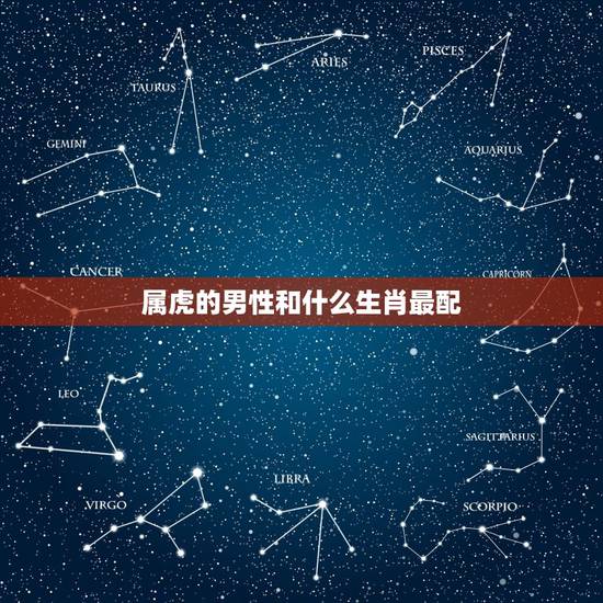 属虎的男性和什么生肖最配，男虎和什么属相最配对