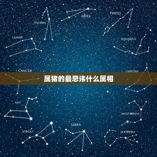 属猪的最忌讳什么属相，属猪的相克的属相是什么