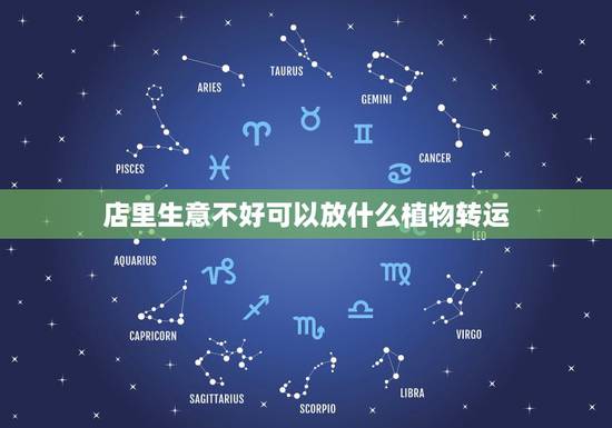 店里生意不好可以放什么植物转运,店门口内可以摆些什么植物招财 店里生意不好可以放什么植物转运,店门口内可以摆些什么植物招财