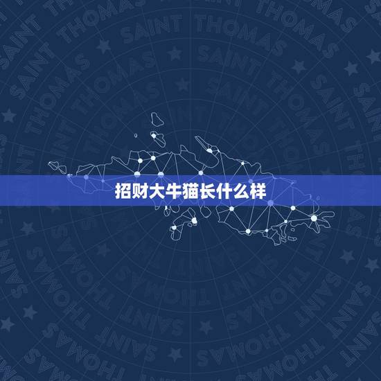 招财大牛猫长什么样,公众号很多自媒体操盘手在推荐利弗莫尔证券,最近招财 招财大牛猫长什么样,公众号很多自媒体操盘手在推荐利弗莫尔证券,最近招财