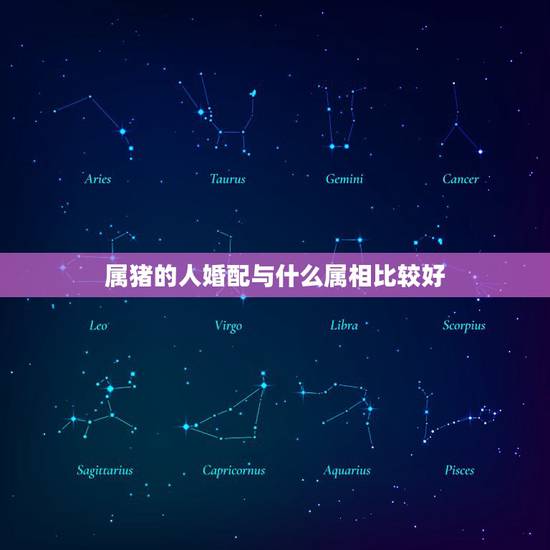属猪的人婚配与什么属相比较好，属猪的和什么属相好