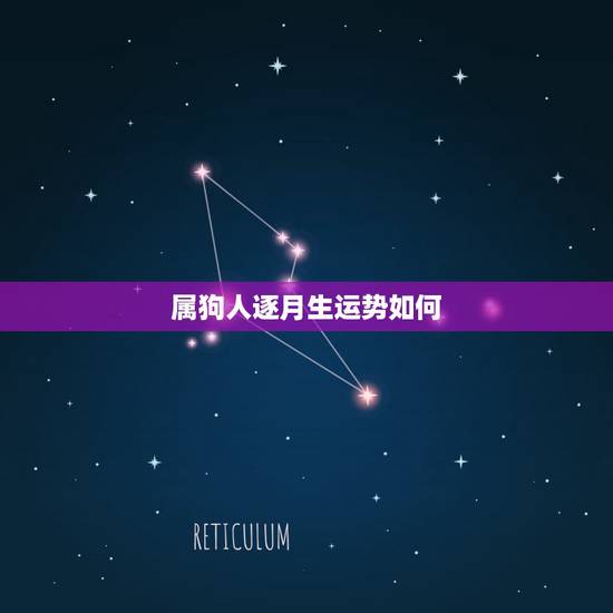 属狗人逐月生运势如何,属狗 农历70年2月6日生人 今年每月运势 属狗人逐月生运势如何,属狗 农历70年2月6日生人 今年每月运势