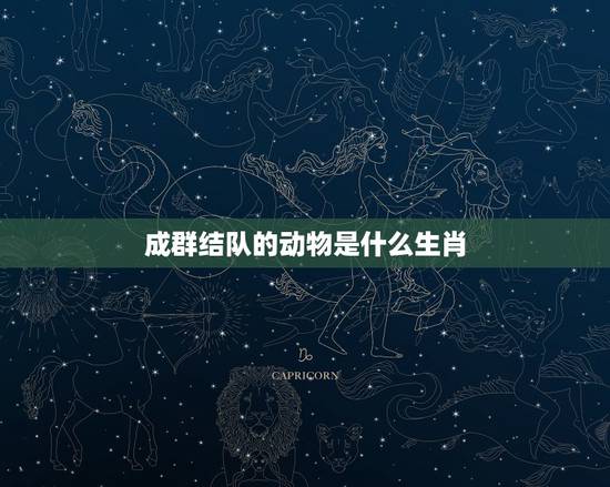 成群结队的动物是什么生肖,什么动物成群结队? 成群结队的动物是什么生肖,什么动物成群结队?